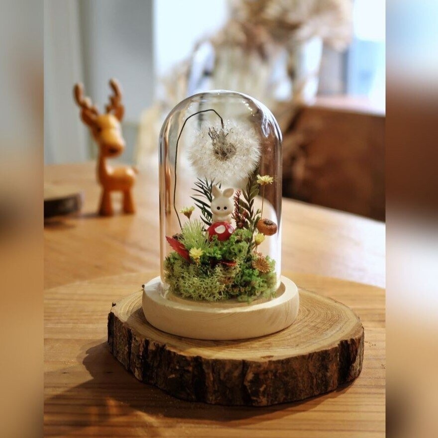 Cheeky Bun Preserved Dandelion Glass Dome