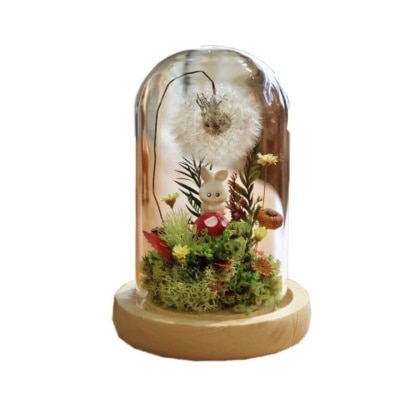 SNOWY FLOWER Cheeky Bun Preserved Dandelion Glass Dome