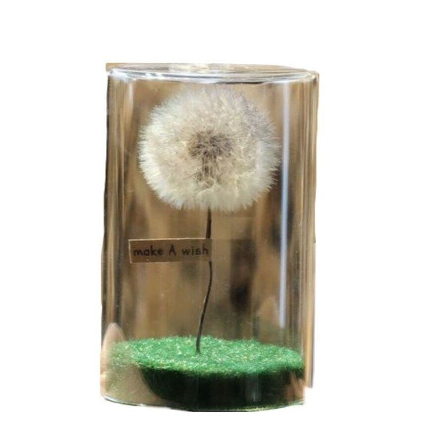 The Only Wish Upon A Dandelions