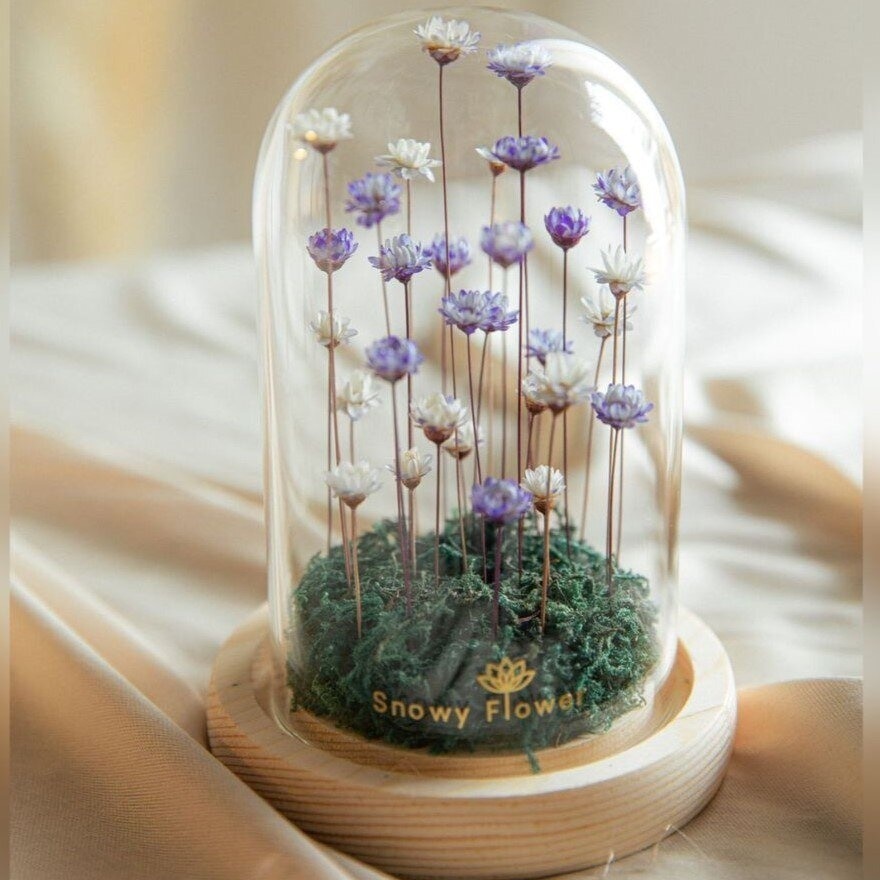 The Lavi Purple Snowy Flower