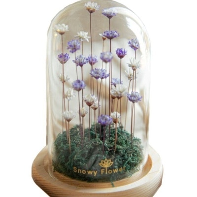 SNOWY FLOWER The Lavi Purple Snowy Flower