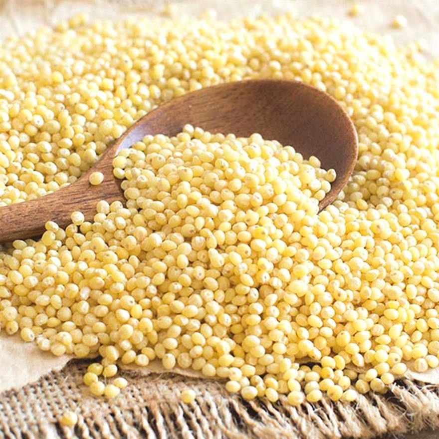 Organic Millet 400g in Pack