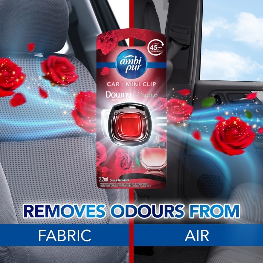 Air Freshener for Car with removing bad odour