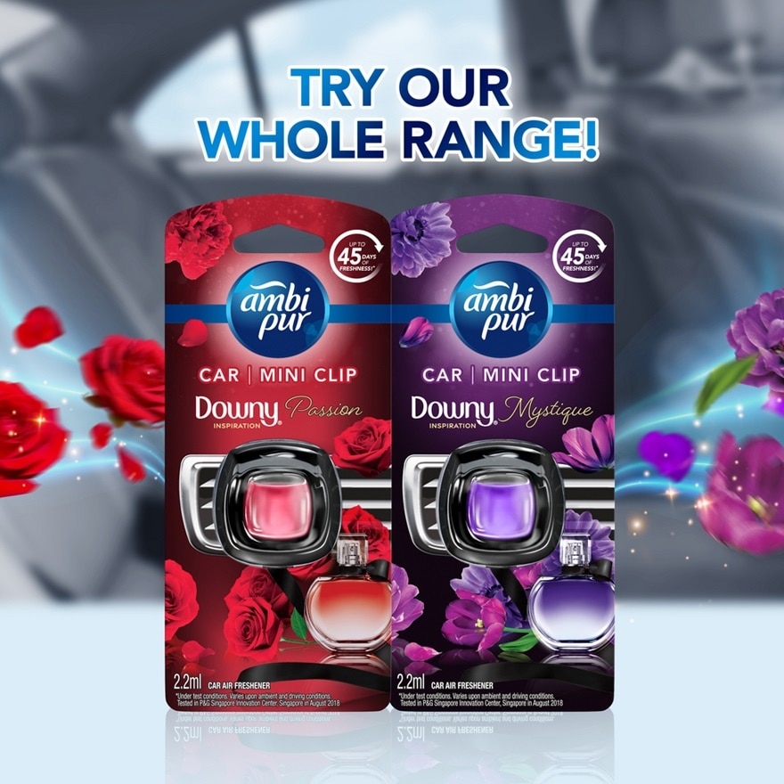 Air Freshener for Car with removing bad odour