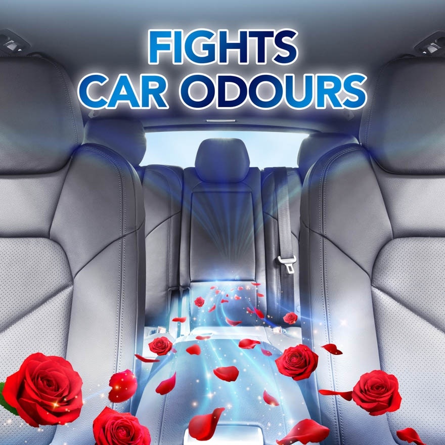 Air Freshener for Car with removing bad odour