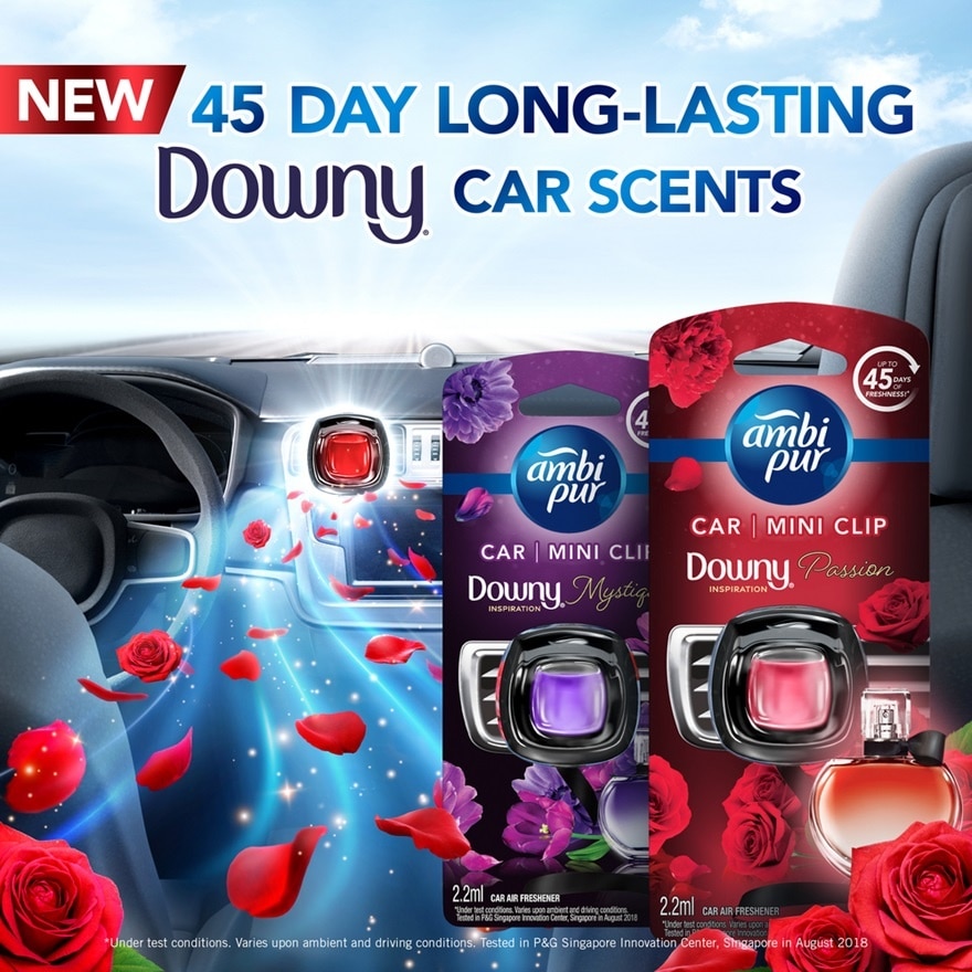 Air Freshener for Car with removing bad odour