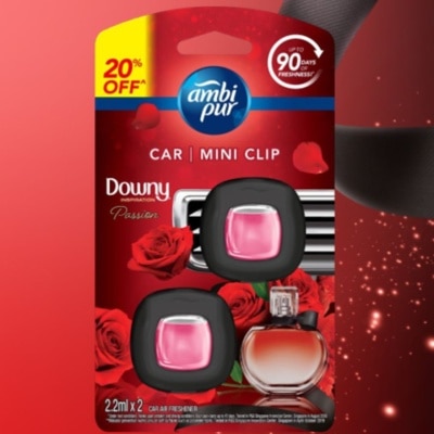 AMBI PUR Car Mini Clip Passion 2.2MLX2