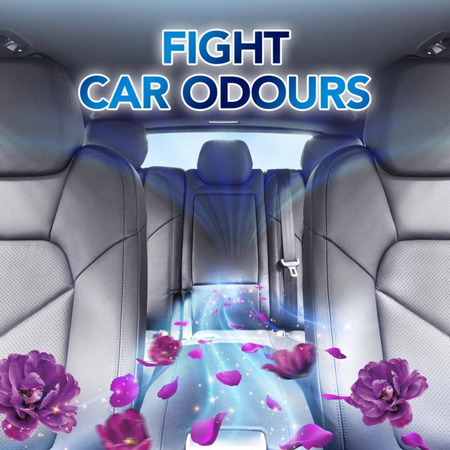 Air Freshener for Car with removing bad odour