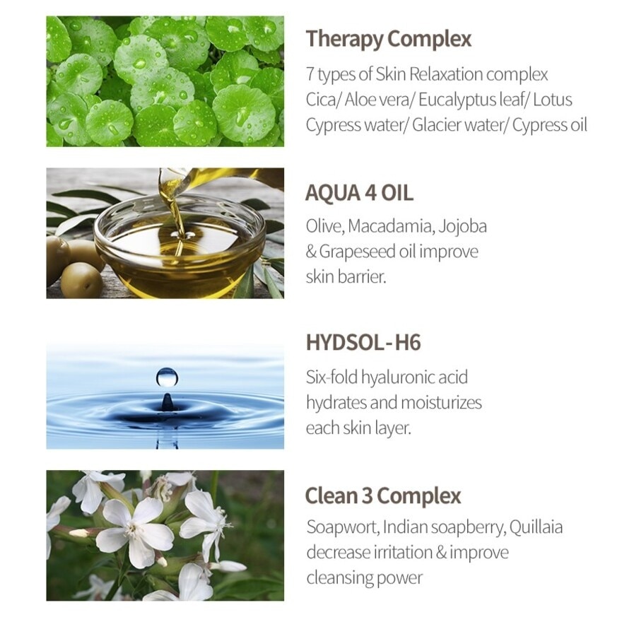 Perfume Body Wash White Soap 500ml (Exp: November 2026)