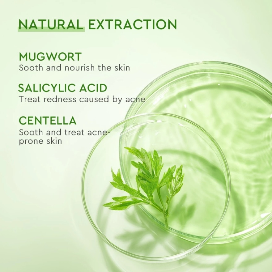 Mugwort Salicylic Acid Acne Clay Stick 25g