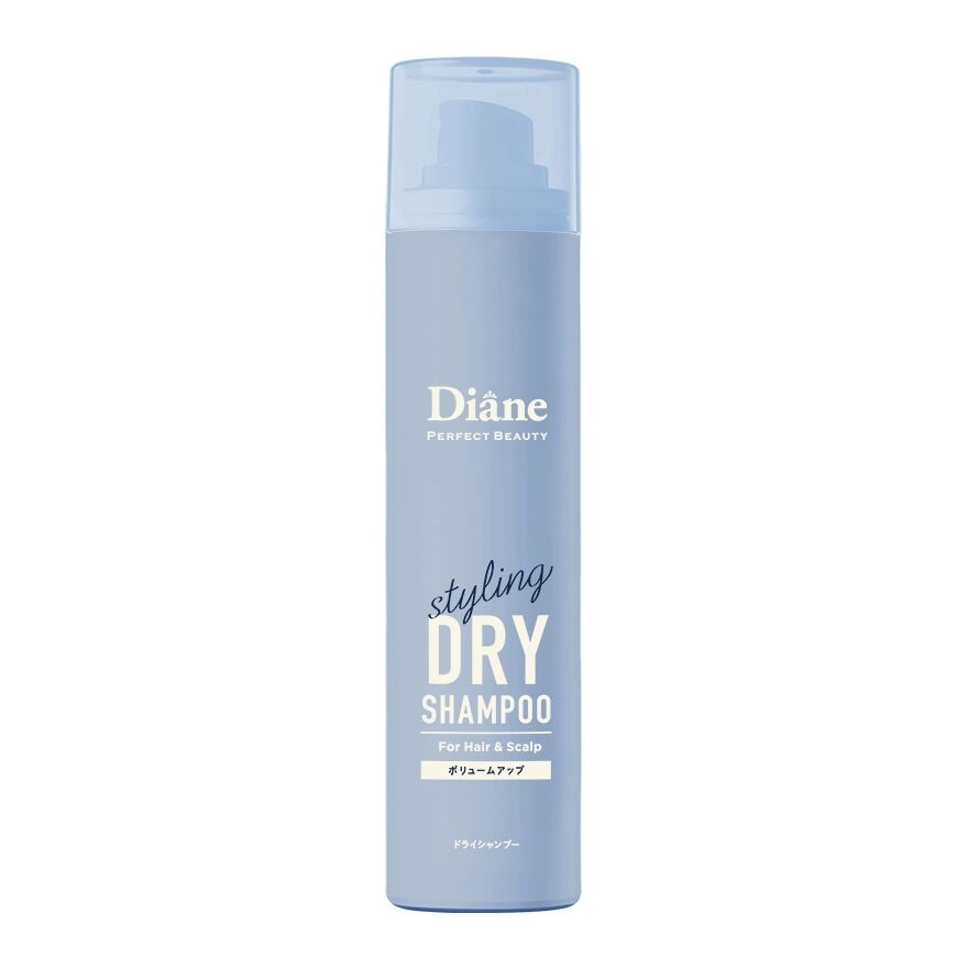 Perfect Beauty Perfect Dry Shampoo For Styling Volume Up 95g