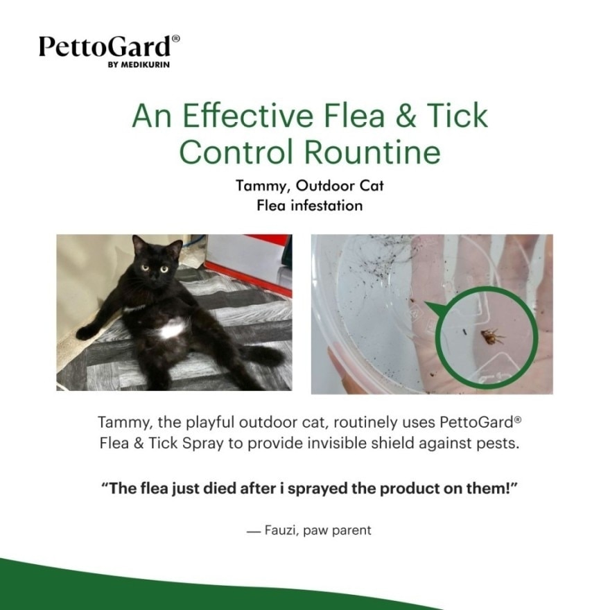 Flea and Tick Spray for Cats and Dogs 120ml