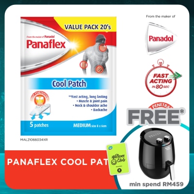 PANAFLEX Cool Patch Fast Acting & Long-lasting 20S