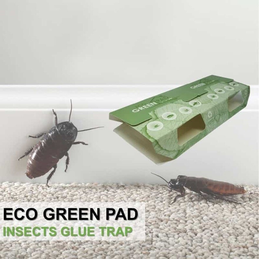 Green3Pro Glue Trap 5 cards