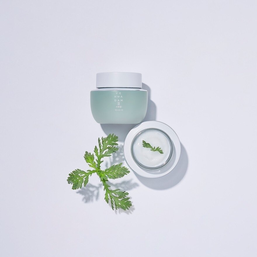 Artemisia Soothing Moisturizing Cream 120ml