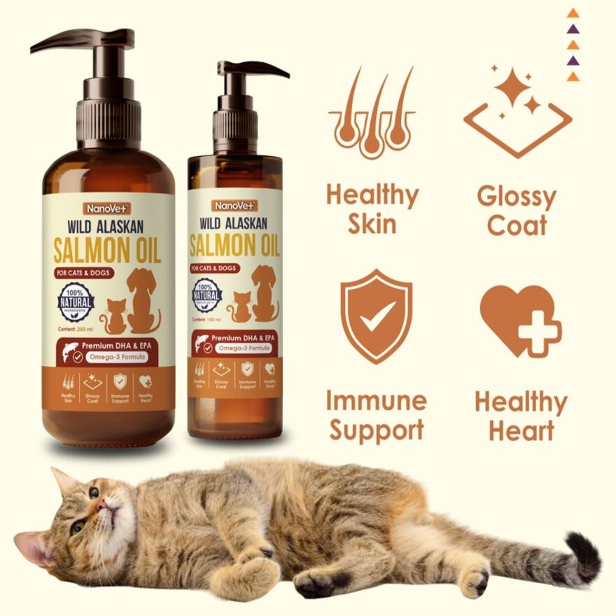 Salmon Oil 100ml image