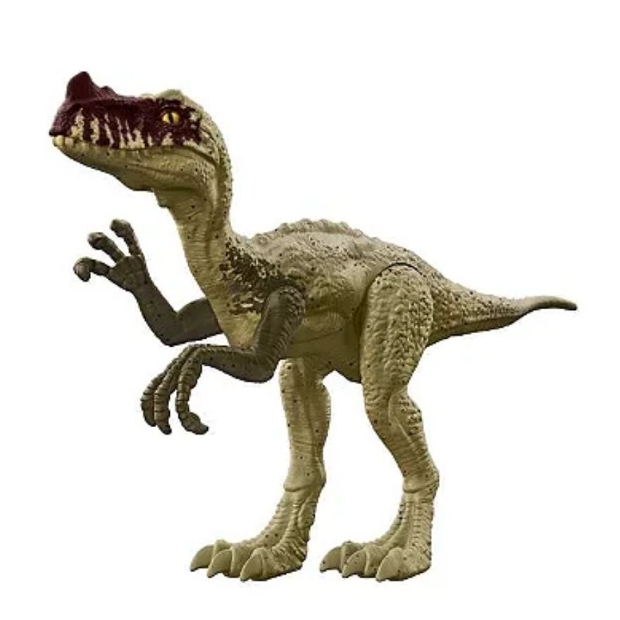 12' Dinosaur - Proceratosaurus