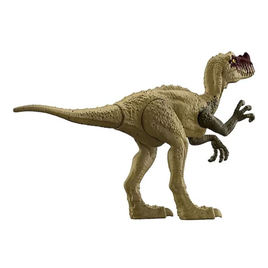 12' Dinosaur - Proceratosaurus