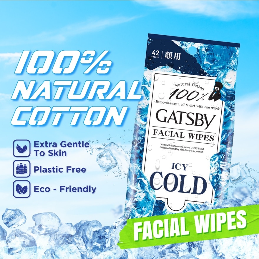 Facial Wipes Icy Cold 42s