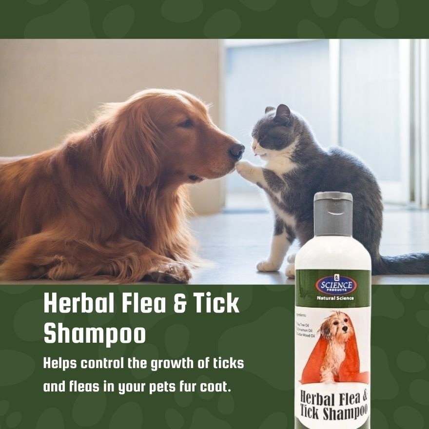 As Herbal Flea And Tick Shampoo 350ml