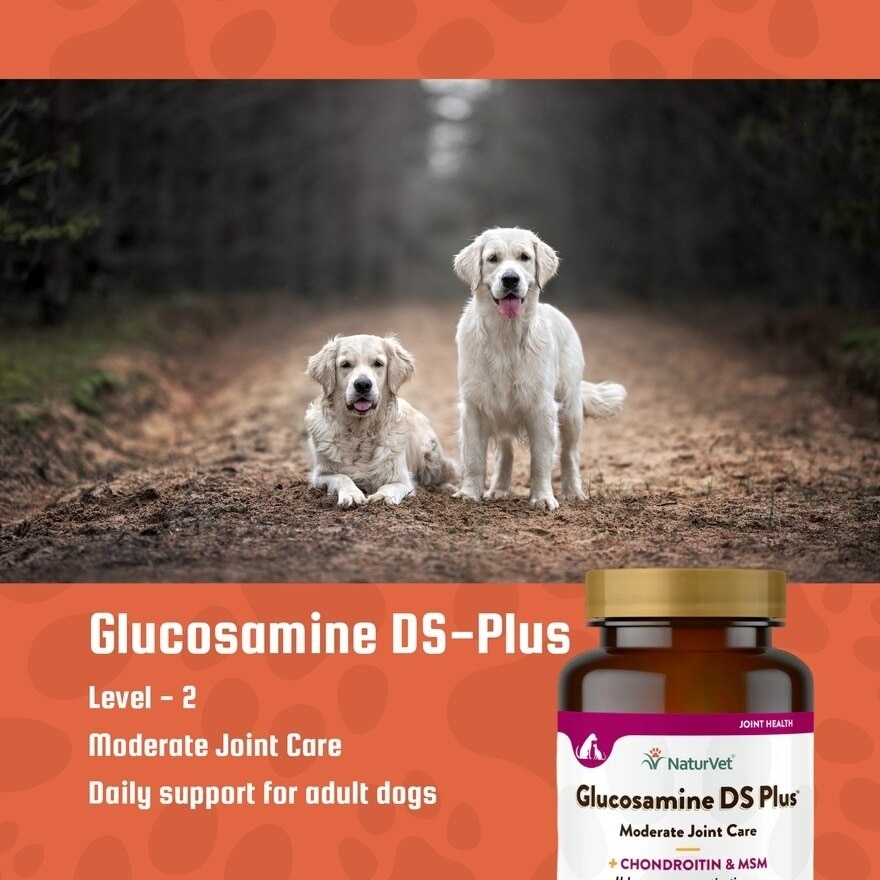 Glucosamine DS Plus Tabs 60s