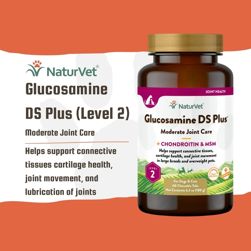 Glucosamine DS Plus Tabs 60s