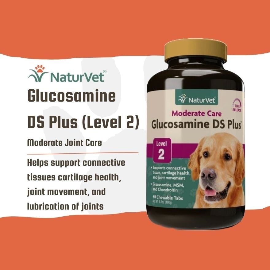 Glucosamine DS Plus Tabs 60s