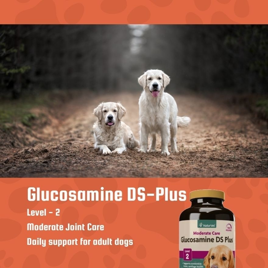 Glucosamine DS Plus Tabs 120s