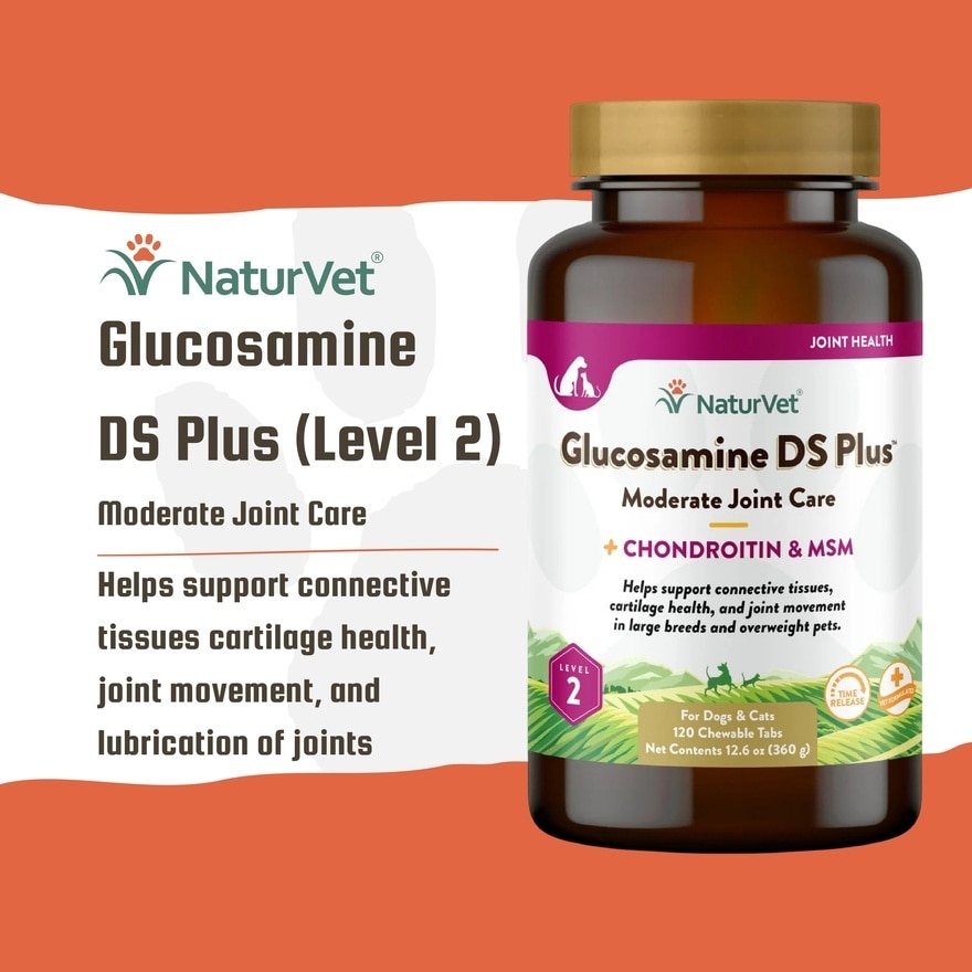 Glucosamine DS Plus Tabs 120s