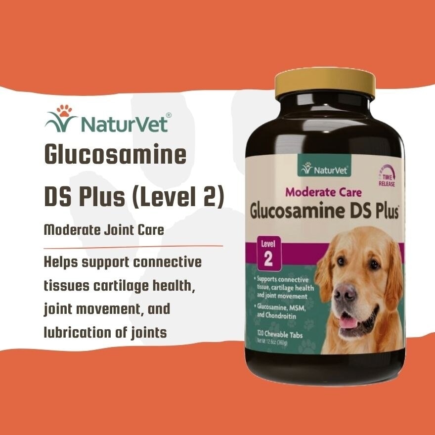 Glucosamine DS Plus Tabs 120s