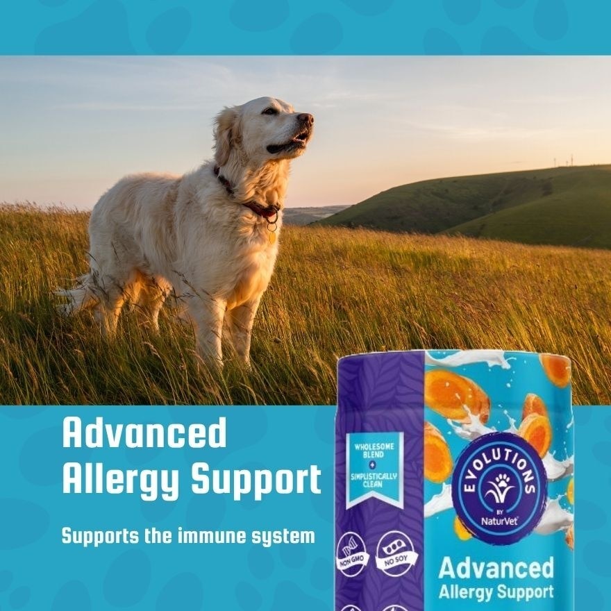 Evolutions Advanced Allergy Support Soft Chews 90s