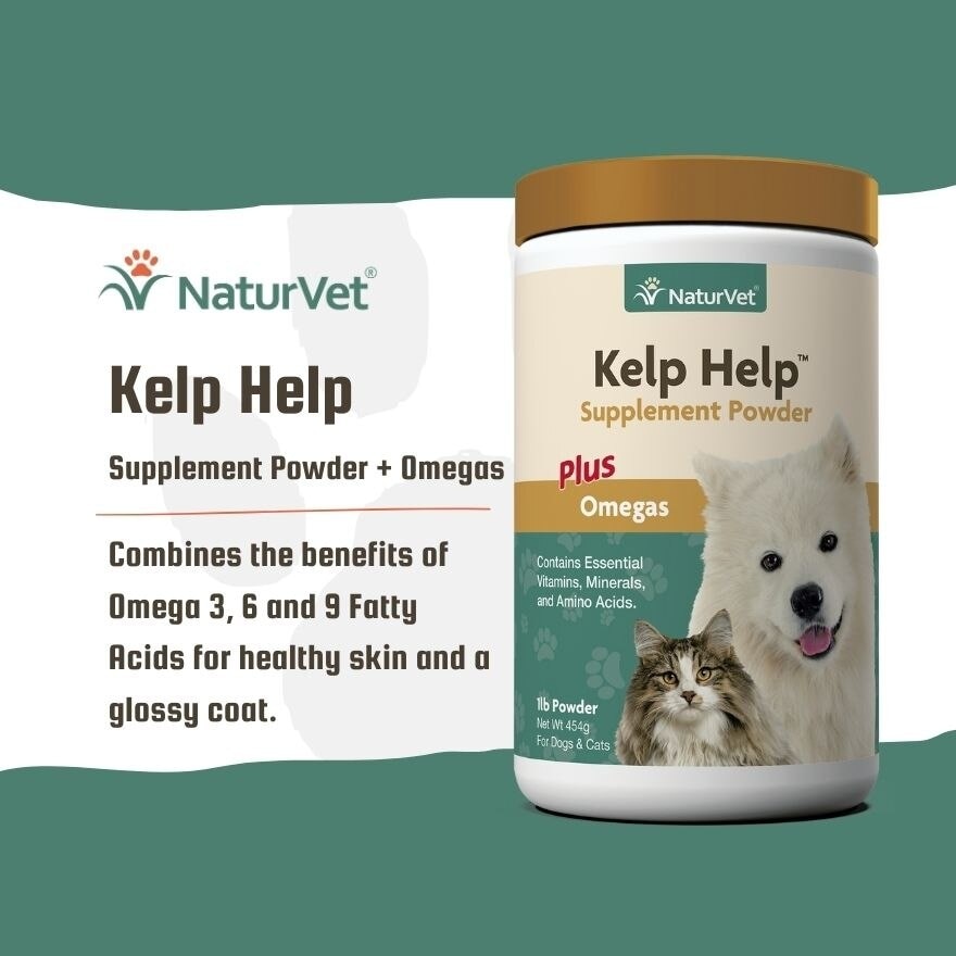 Kelp Help Powder