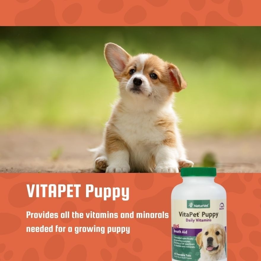 Vitapet Puppy Daily Vitamins Chewable Tablets 60s