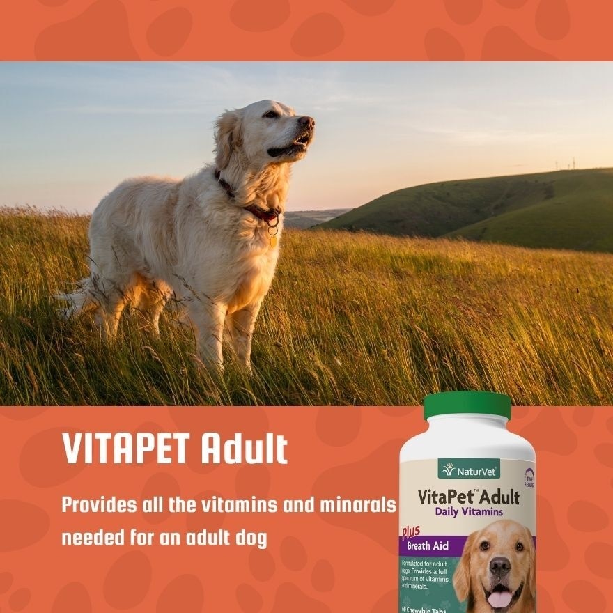 Vitapet Adult Daily Vitamins Chewable Tablets 60s