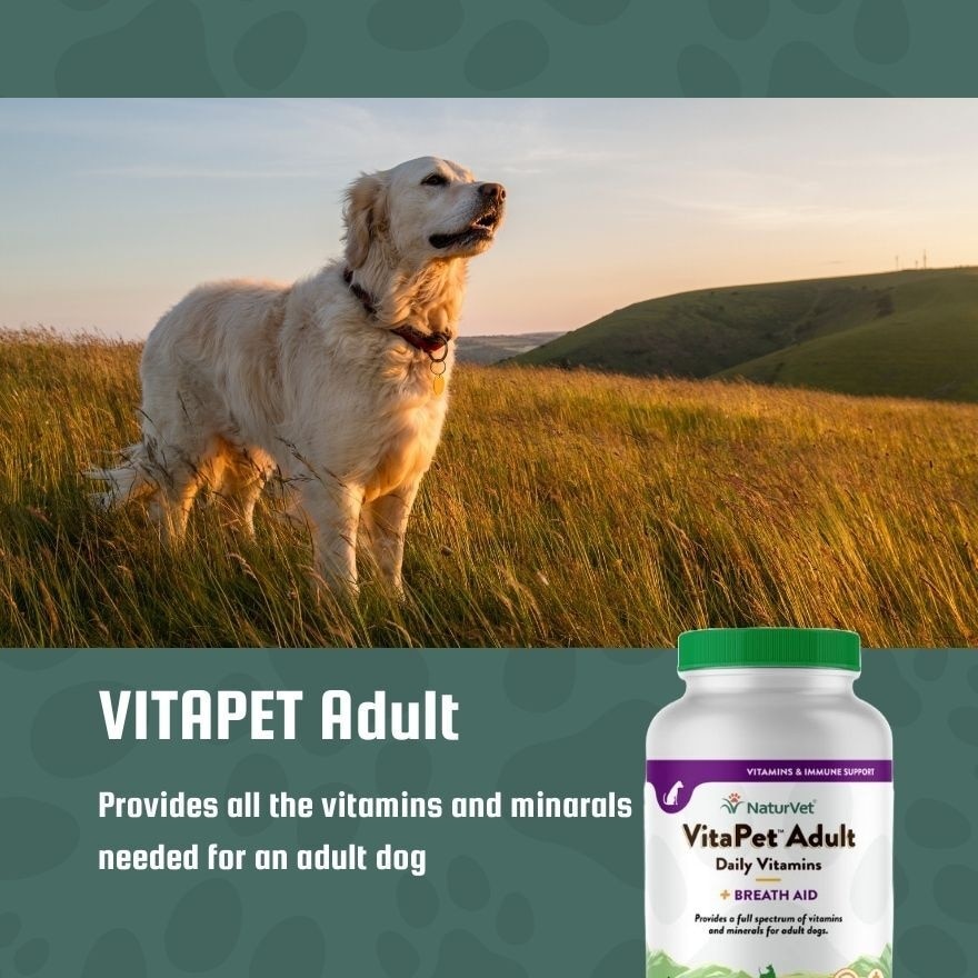 Vitapet Adult Daily Vitamins Chewable Tablets 180s