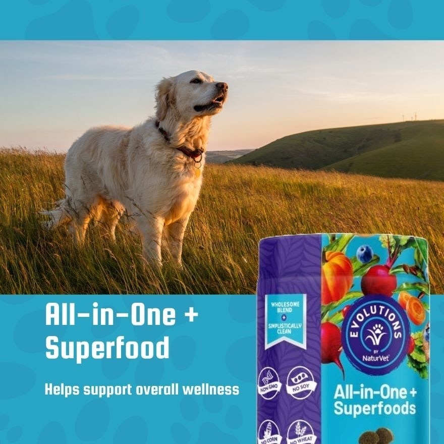 Evolutions All In One Plus Superfoods Soft Chews 90s