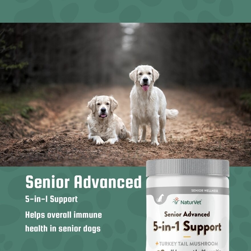 Senior Advanced 5 In 1 Support Soft Chews 60s