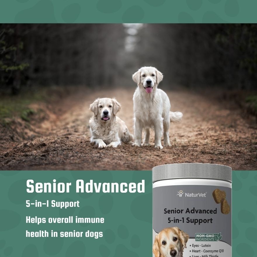 Senior Advanced 5 In 1 Support Soft Chews 60s