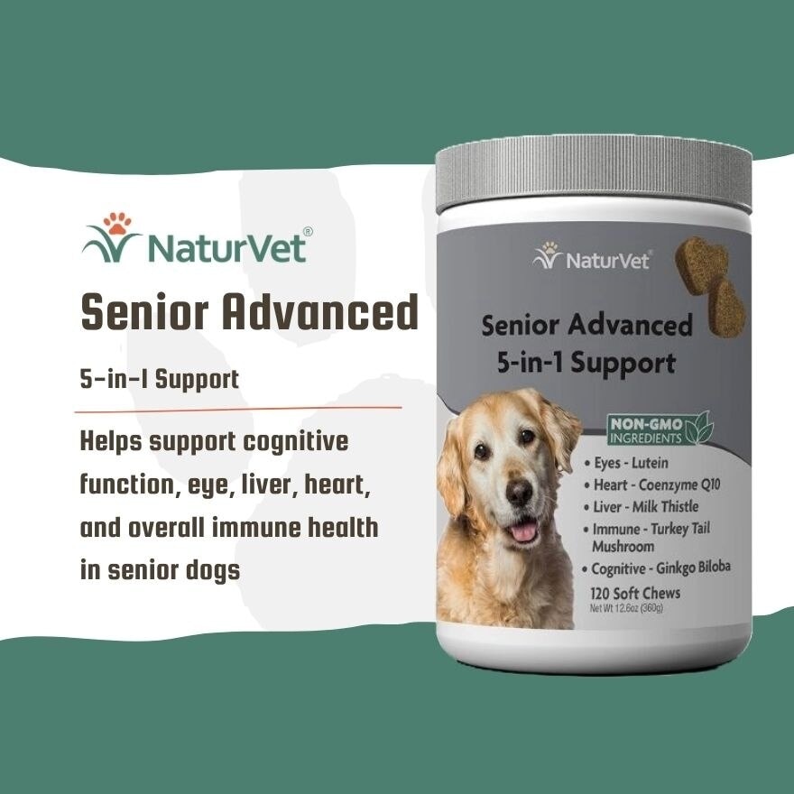 Senior Advanced 5 In 1 Support Soft Chews 60s