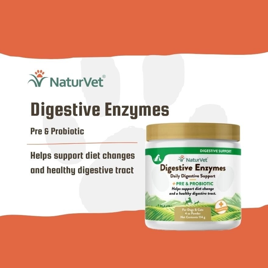 Digestive Enzymes Powder With Prebiotics and Probiotics 4Oz