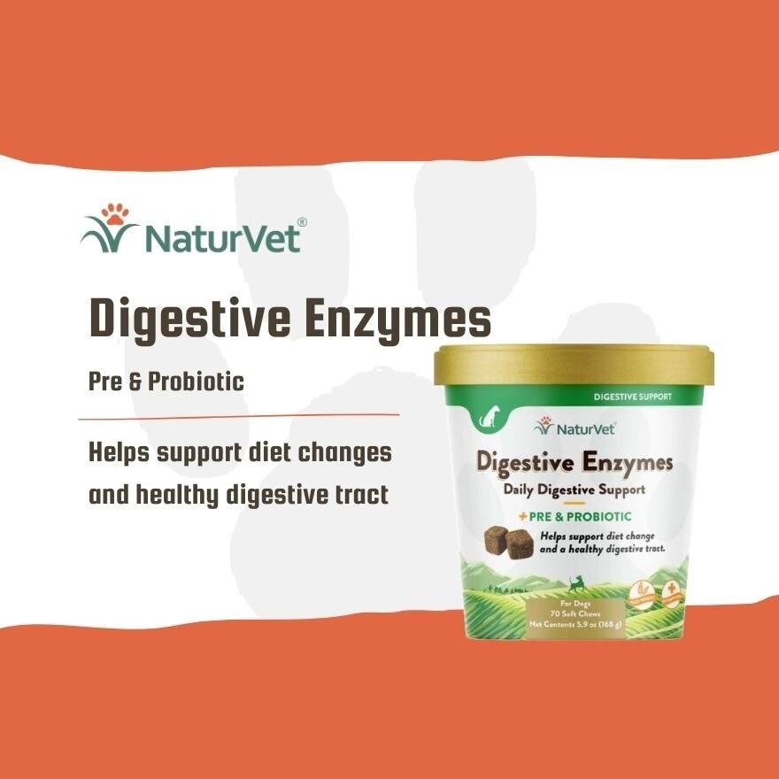 Digestive Enzymes Soft Chews With Prebiotics and Probiotics 70s