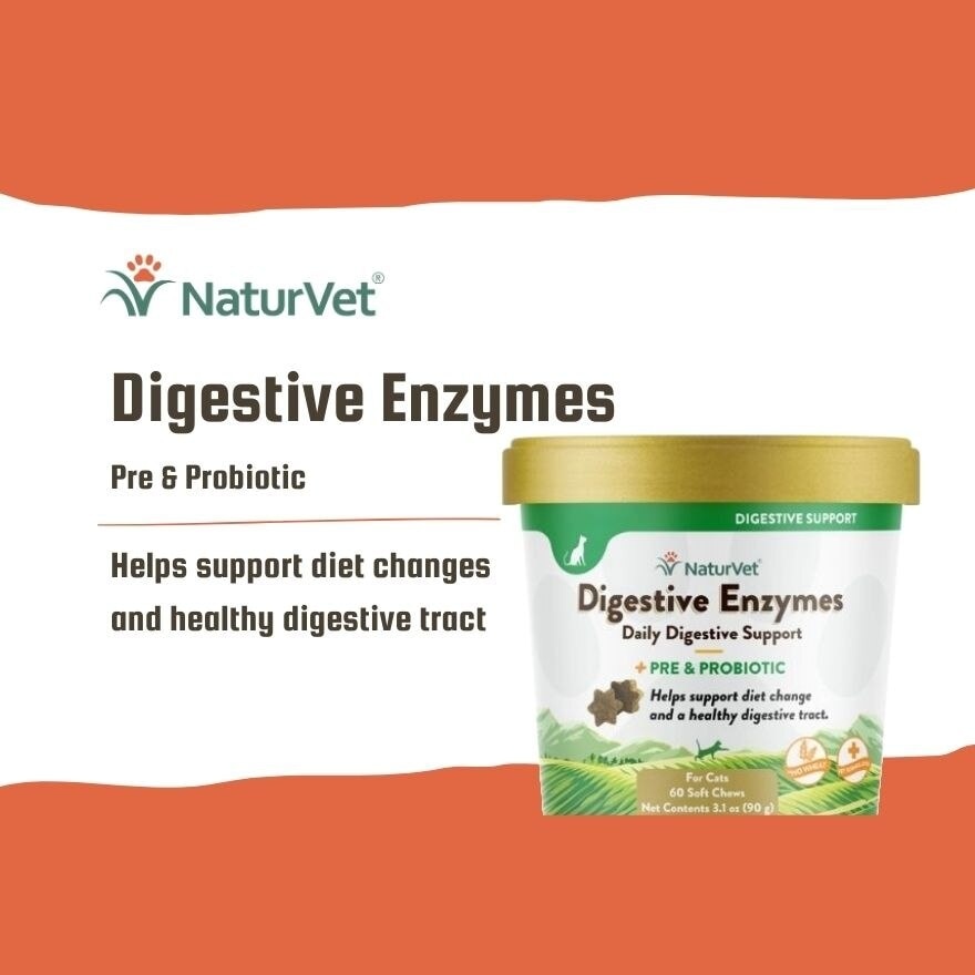 Digestive Enzymes Cat Soft Chews With Prebiotic And Probiotic 60s