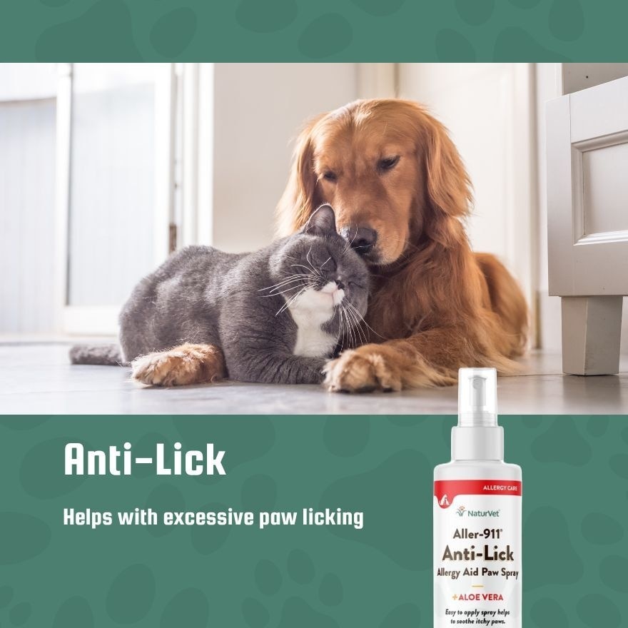 Aller 911 Anti-Lick Paw Spray