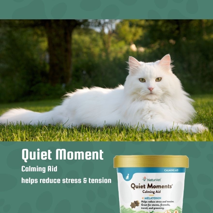 Quiet Moments Cat Soft Chews 60s