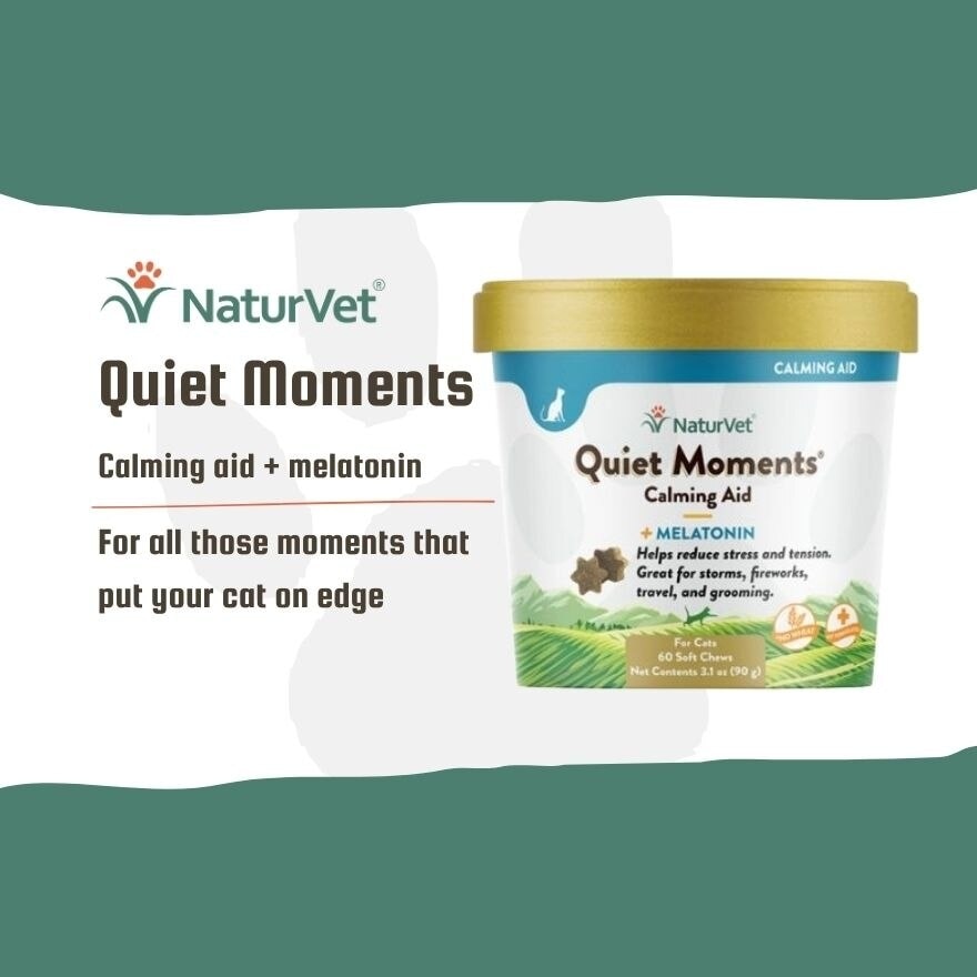 Quiet Moments Cat Soft Chews 60s