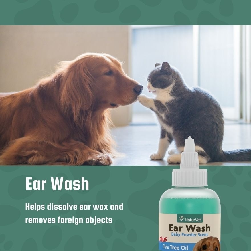 Ear Wash Liquid 4Oz