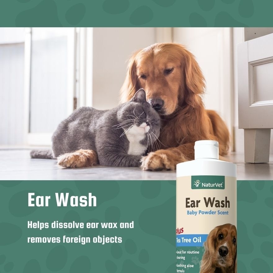 Ear Wash Liquid 16Oz