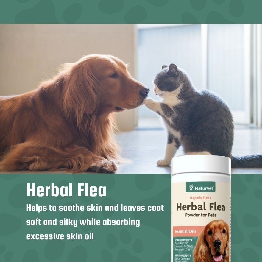 Herbal Flea Powder 4Oz