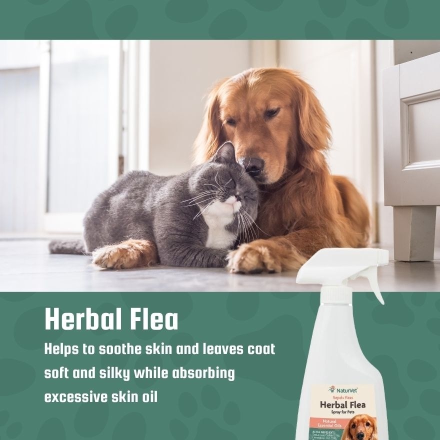 Herbal Flea Spray 16Oz