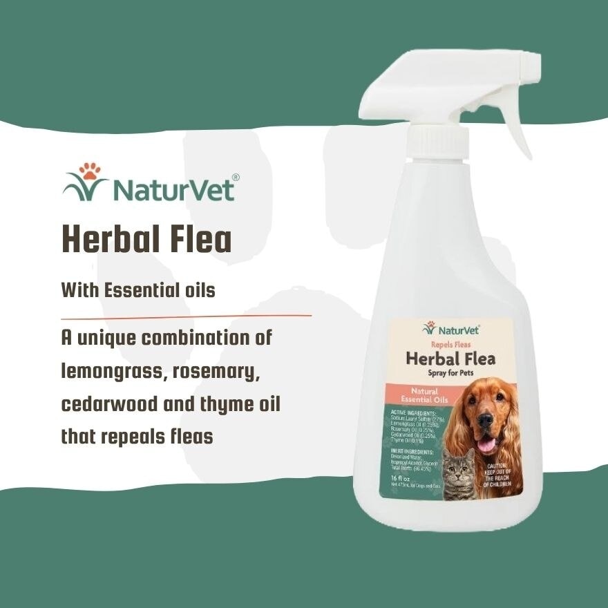 Herbal Flea Spray 16Oz